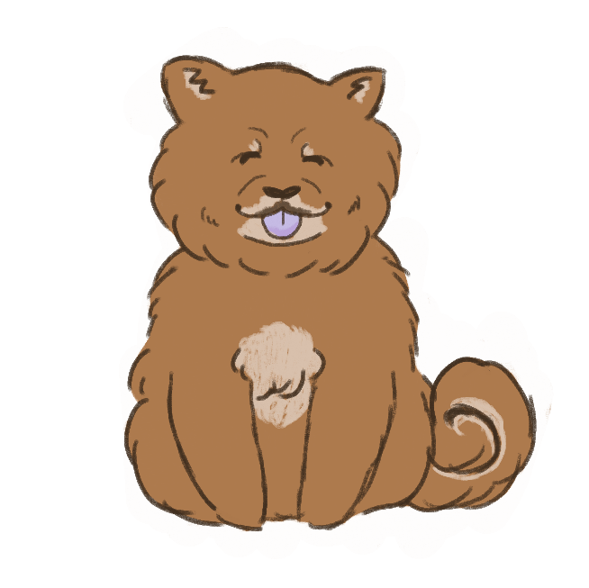 a brown and beige chow chow dog, sticking its tongue out. It is fluffy and has a purple-ish tongue.